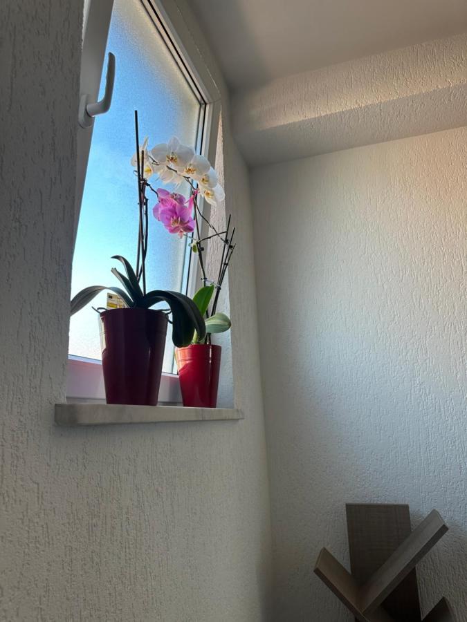 Spacious 3-Bedroom Condo Next To City Center Pristina Eksteriør bilde